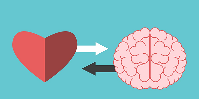 A cartoon depicting a heart and brain with an arrow in the middle indicating a relationship. 
